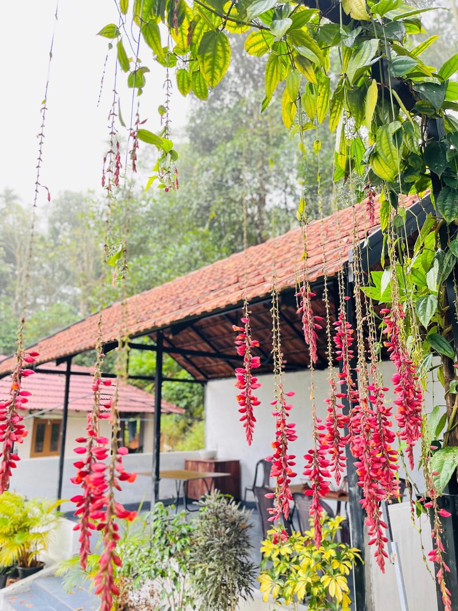 Partho Home Stay Padinjarathara Экстерьер фото